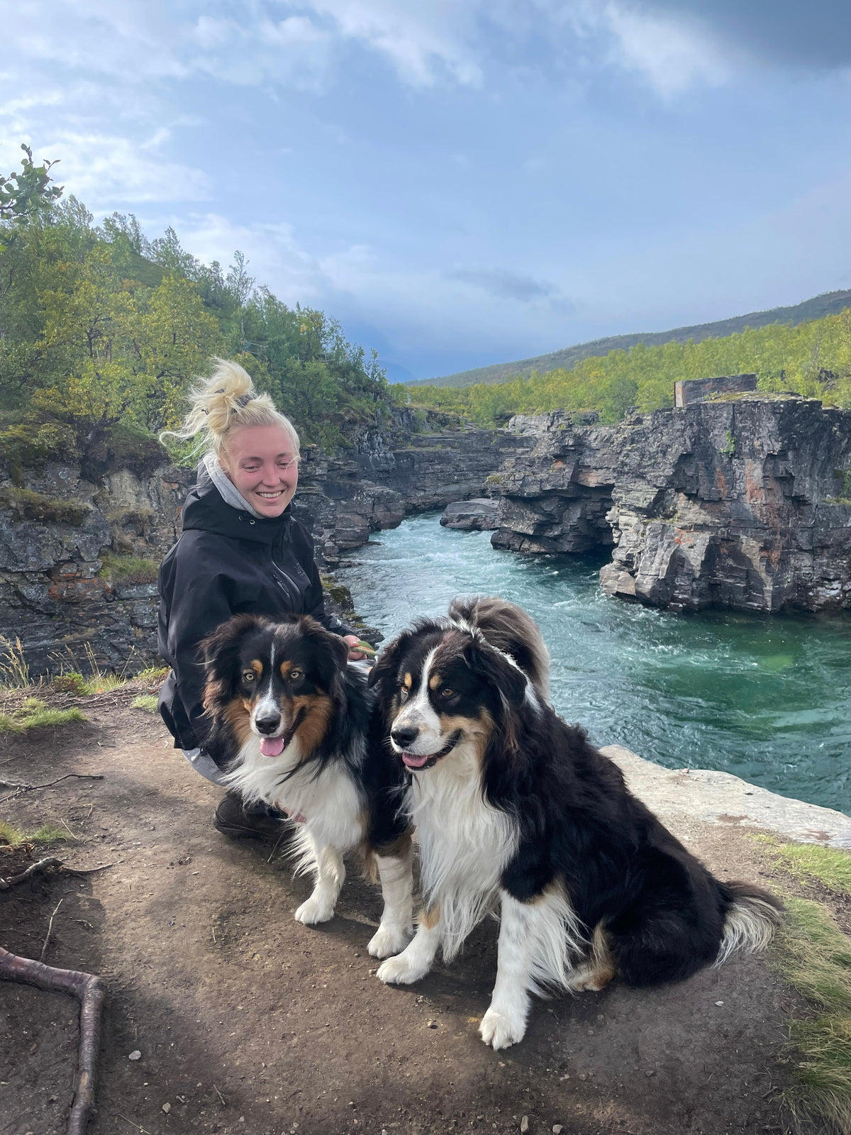 Paws & Perspectives: A Dog Trainer on Visibility, Behaviour and Autumn Walks | Reelight