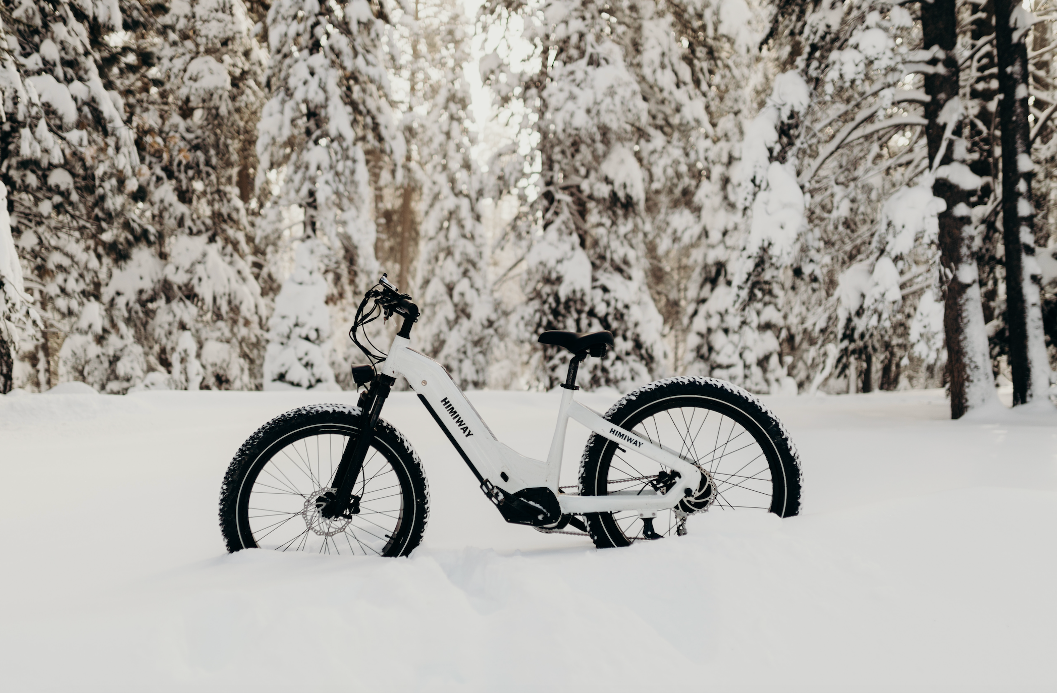 Winter Wonderland:  Exploring Scenic Trails on Fat Bikes