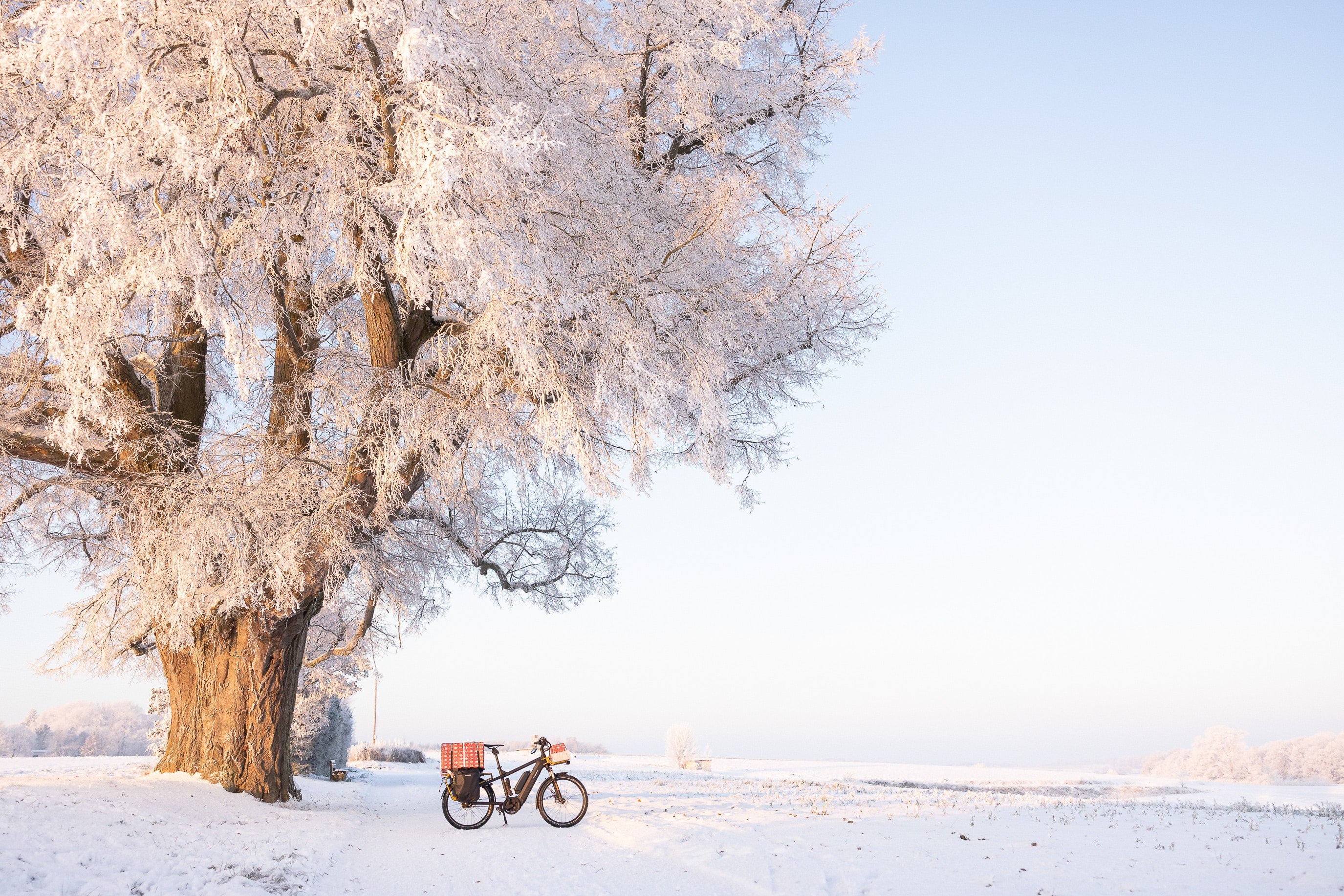 Top Winter Travel Tips: Biking and Exploring Safely in December