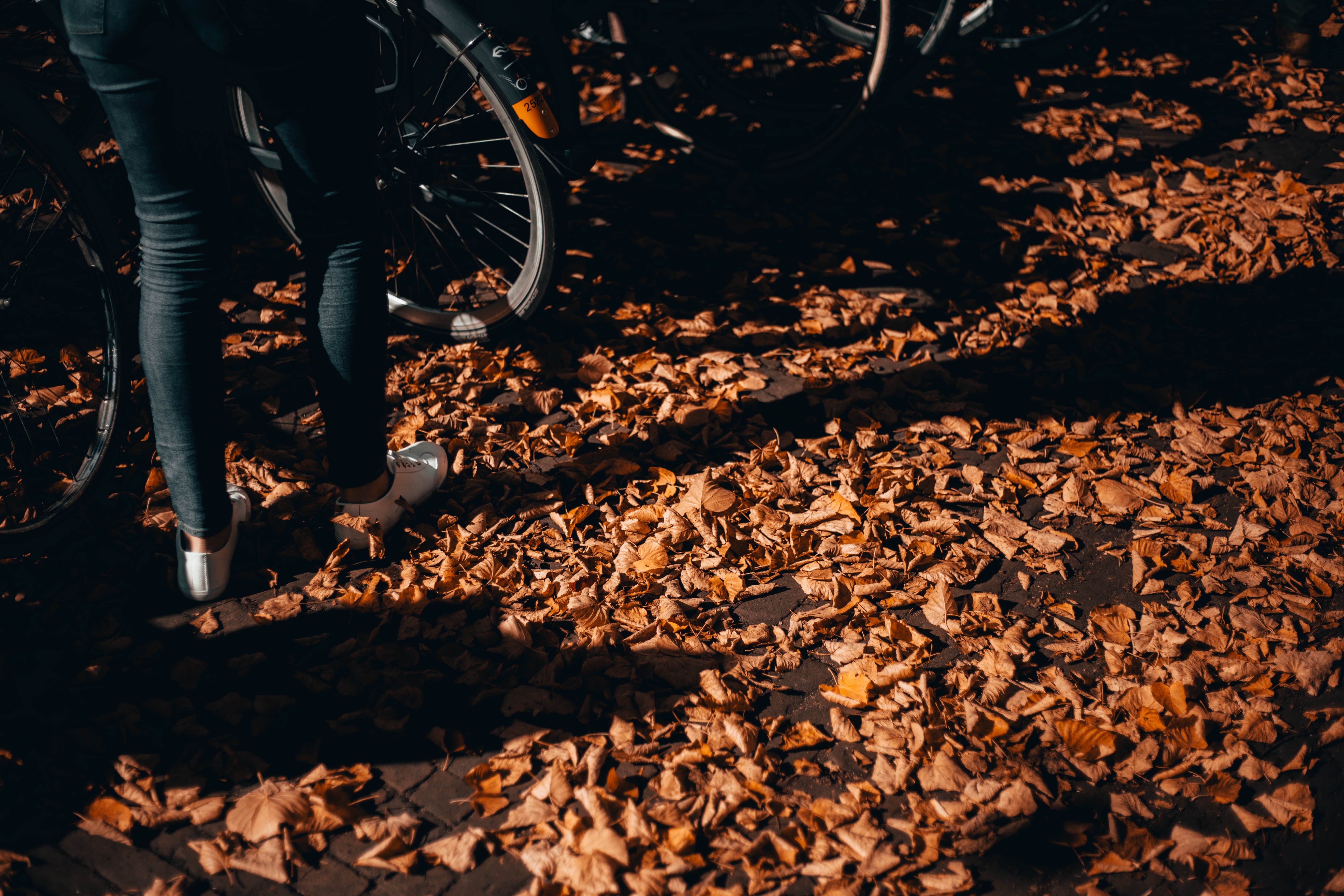 5 Tips For Getting Ready for Autumn Biking - Ride Safely & Comfortably